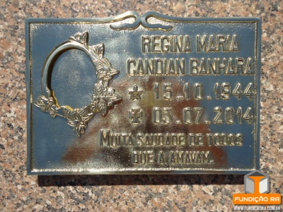 Placa Modelo Bigode em Bronze Polida para Foto Florida